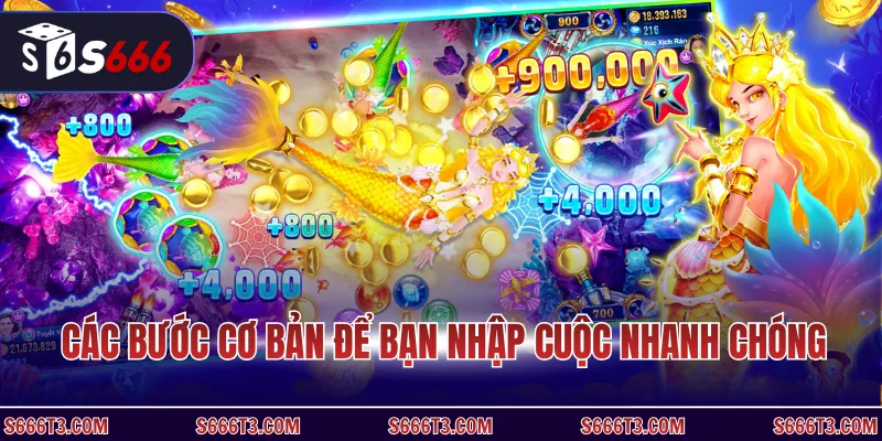 Các bước cơ bản để bạn nhập cuộc nhanh chóng